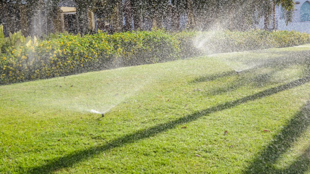 drain irrigation
